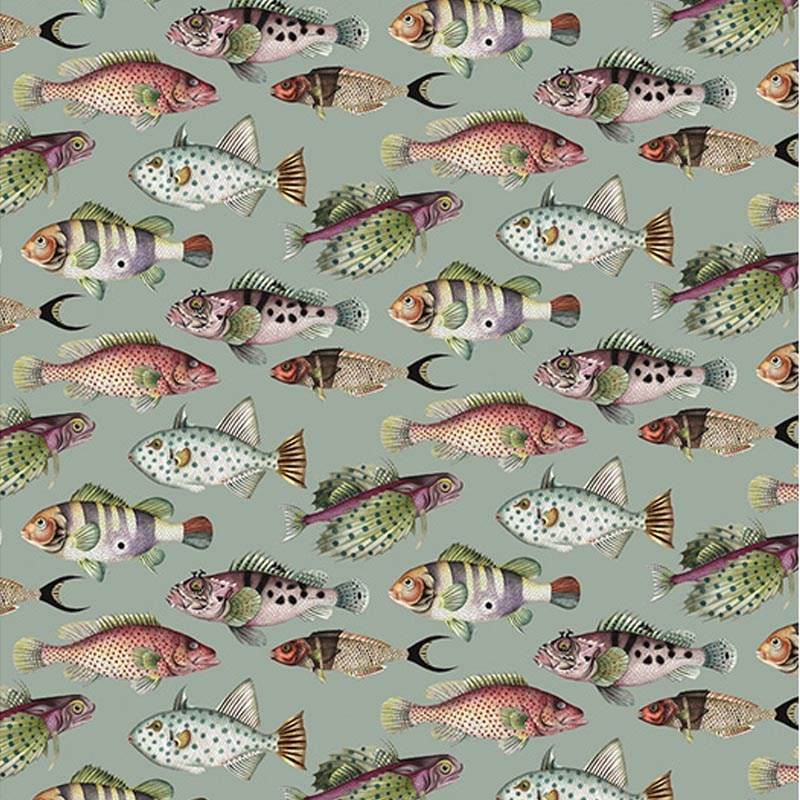 Fish Turquoise Wallpaper