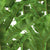 Franco-Moz-Tropical-Jungle-Leaf.jpg