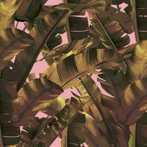 Jungle Leaf Ghana Wallpaper