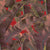 Jungle Leaf Masai Wallpaper