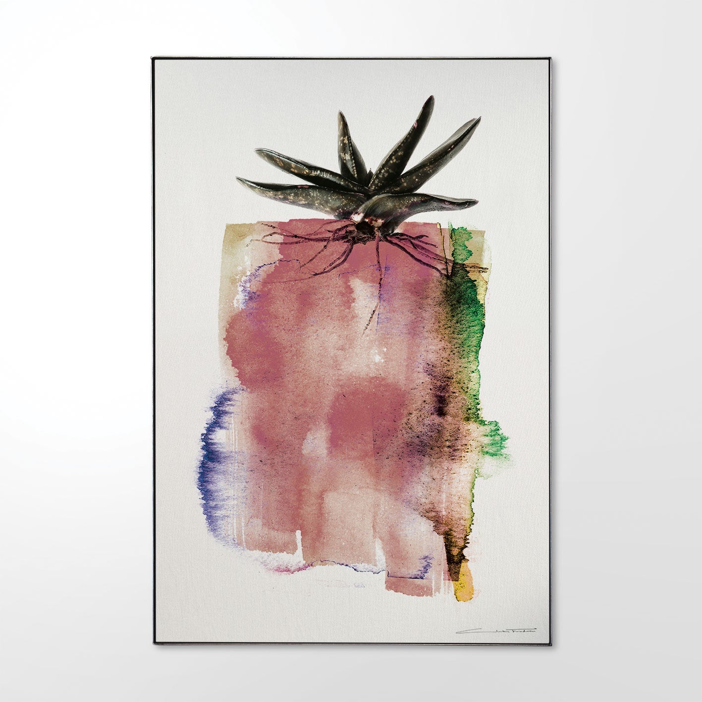 b1563a78ec59337587f6ab6397699afc%2FGasteria_WP-01.jpg