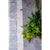 Haze_20lifestyle_d5701d47-3710-43f0-b08e-5882b5aaaf86.jpg