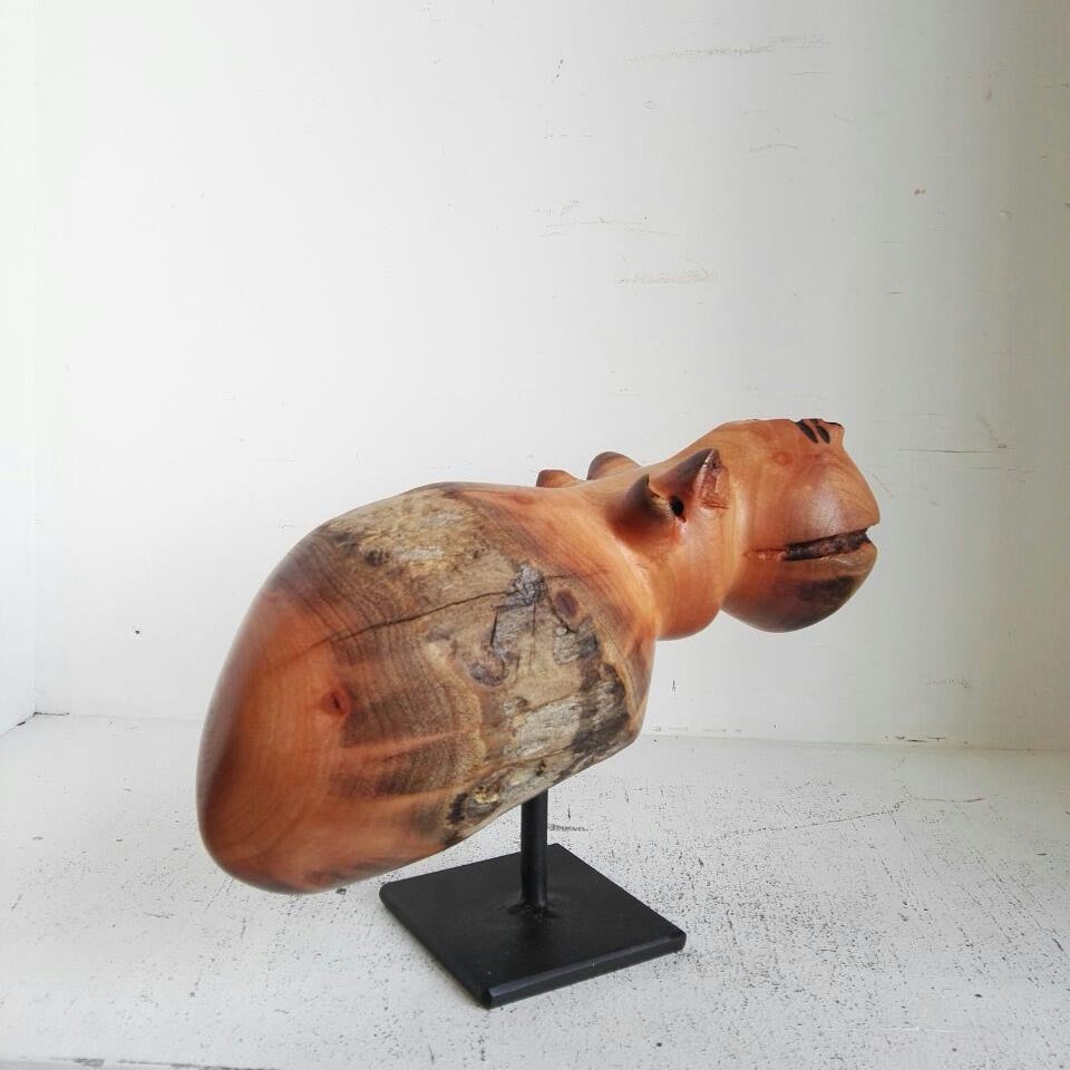 Hippo B.jpg