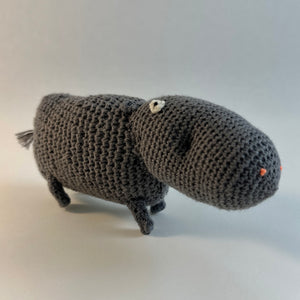 Hippo.jpg