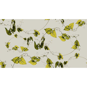 Honey-vine Wallpaper