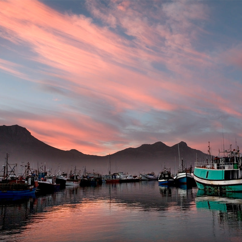 Hout Bay Harbour