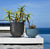 TM_20Oyster_84c59a19-6dc8-4c81-8a77-8ce720f87e85.png