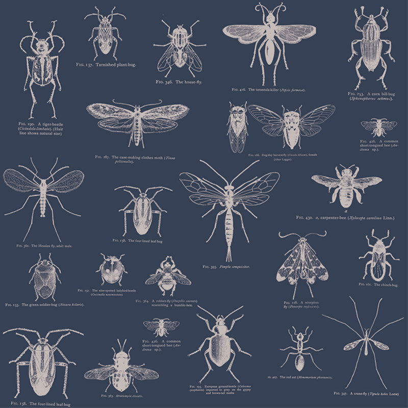 Insect – Blue and Cream Wallpaper