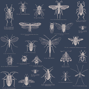 Insect – Blue and Cream Wallpaper