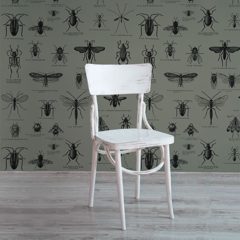 Insect – Brown Wallpaper