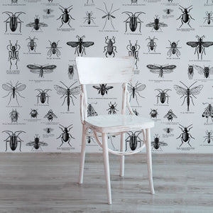 Insect – White Wallpaper