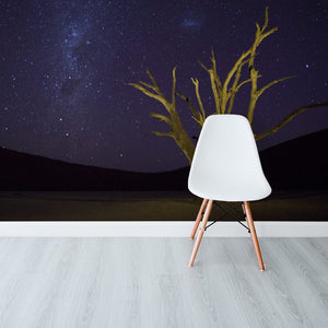 Night Sky DeadVlei Namibia