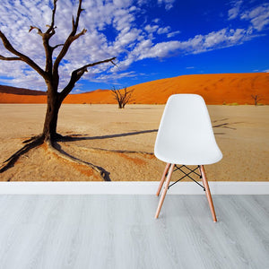 Dead Trees DeadVlei Namibia