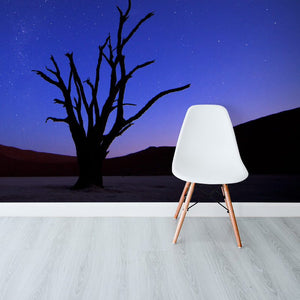 Dusk At DeadVlei Namibia