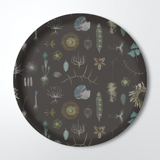 b1563a78ec59337587f6ab6397699afc%2FKW-ST-26-Natural curioities %28brown%29.png