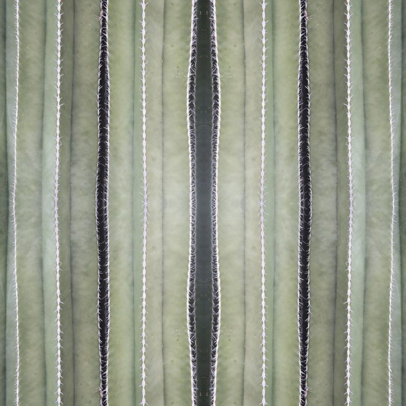 Karoo Weave Wallpaper