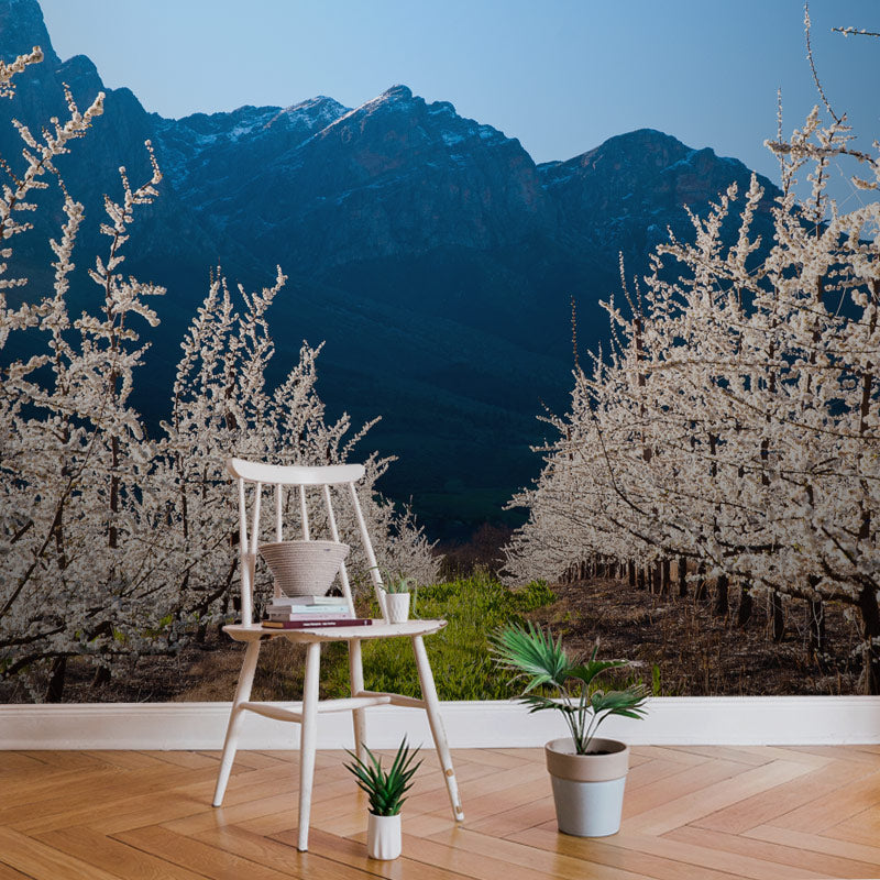 Blossoms and Mountains