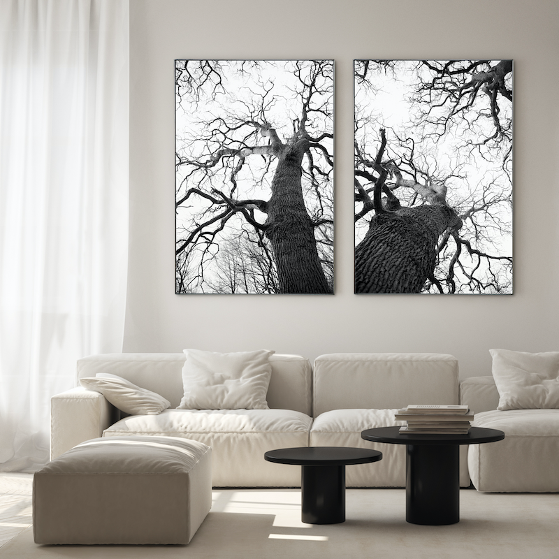 Oaktree1_2lowres.png