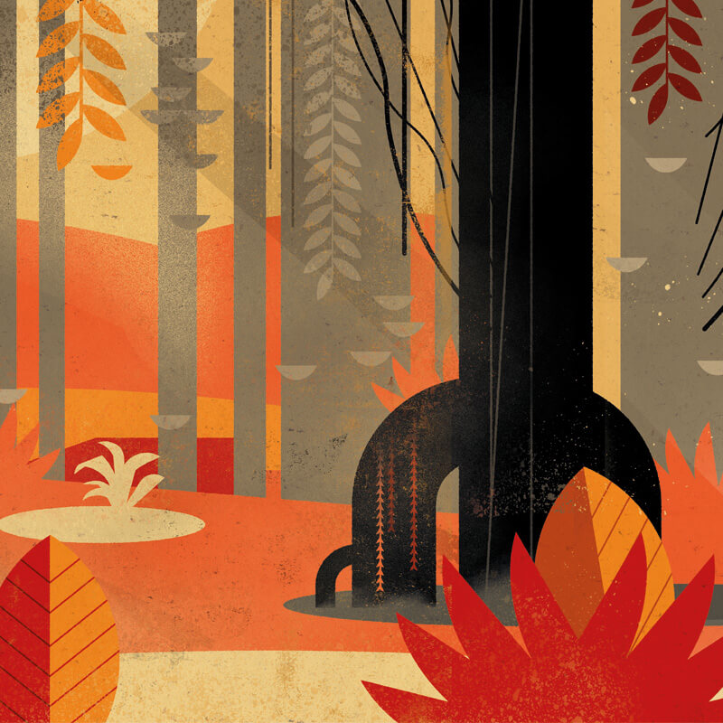 Okapi Background Wallpaper