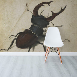Stag Beetle by A. Durer Wallpaper