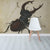 Stag Beetle by A. Durer Wallpaper