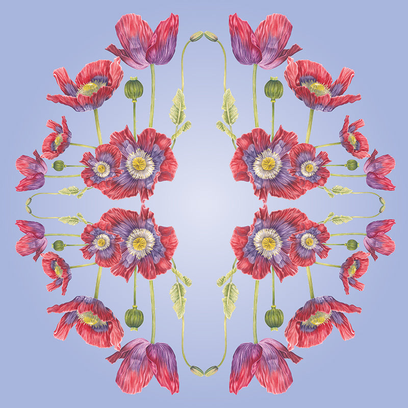 Opium-Poppy-Wall-Mural-Lilac-by-Adrienne-Kerr-1.jpg