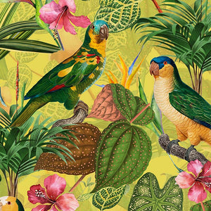 Parrots-with-orchids-and-hibiscus-in-jungle_800x800_588e6754-1d2a-44d6-8601-6ed8536c0293.jpg
