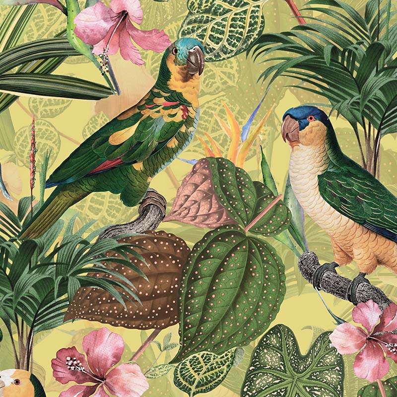 Parrots-with-orchids-and-hibiscus-in-jungle_pale_800x800_b01f5008-7106-413f-8d39-bd1897762a9b.jpg