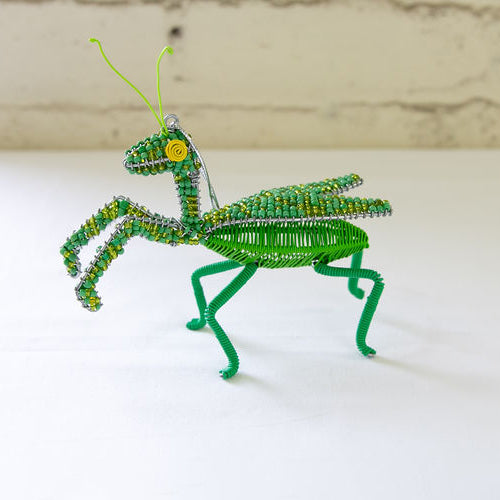 Praying_20Mantis_dc11c57a-6bc0-408c-a0cd-6c8da5e4baa9.jpg