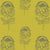 Protea-Chartreuse_800x800_Tharien-Smith.jpg