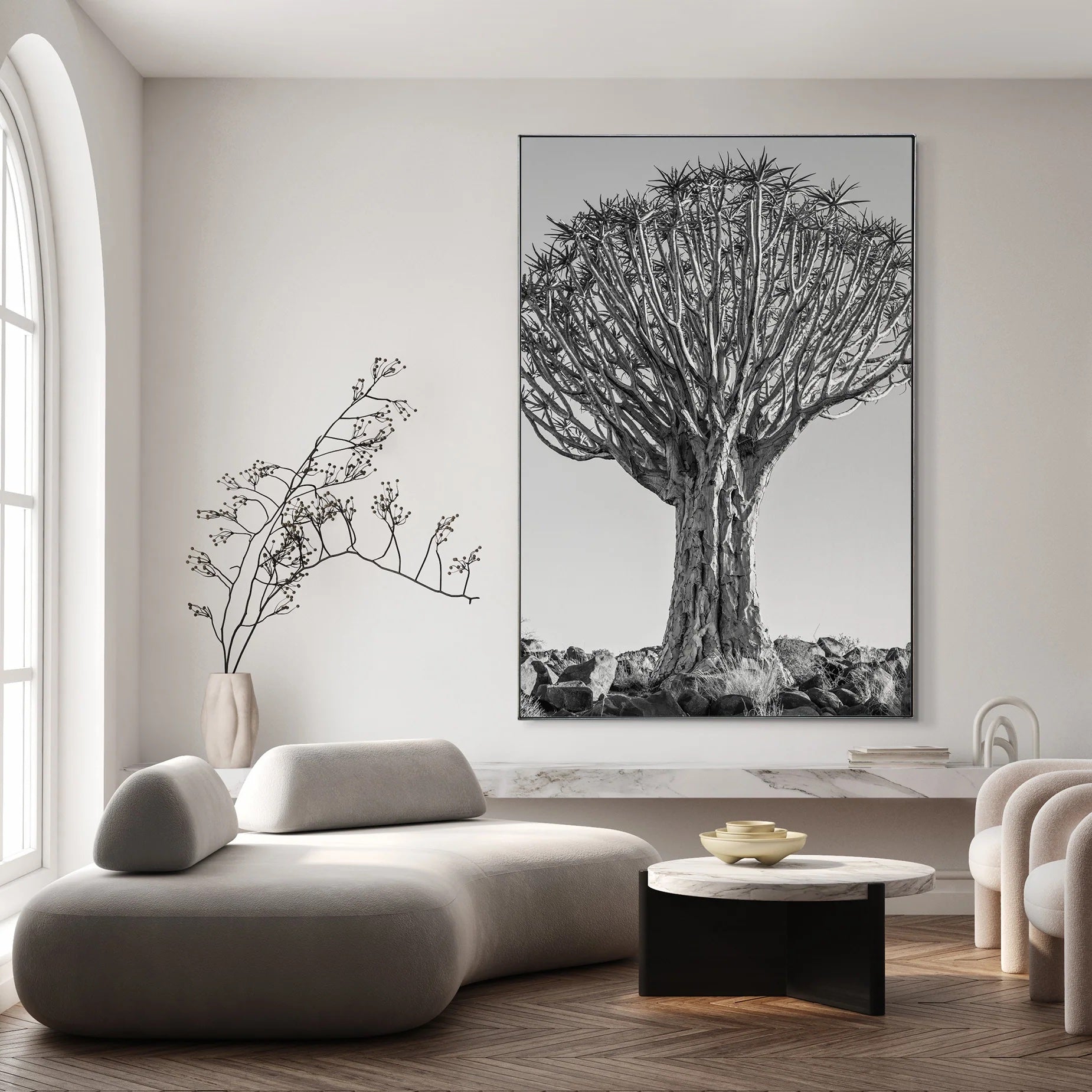 Quiver-Tree-_2_insitu.jpeg