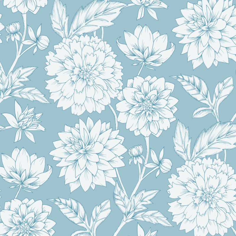Dahlia Blooms Blue Wallpaper