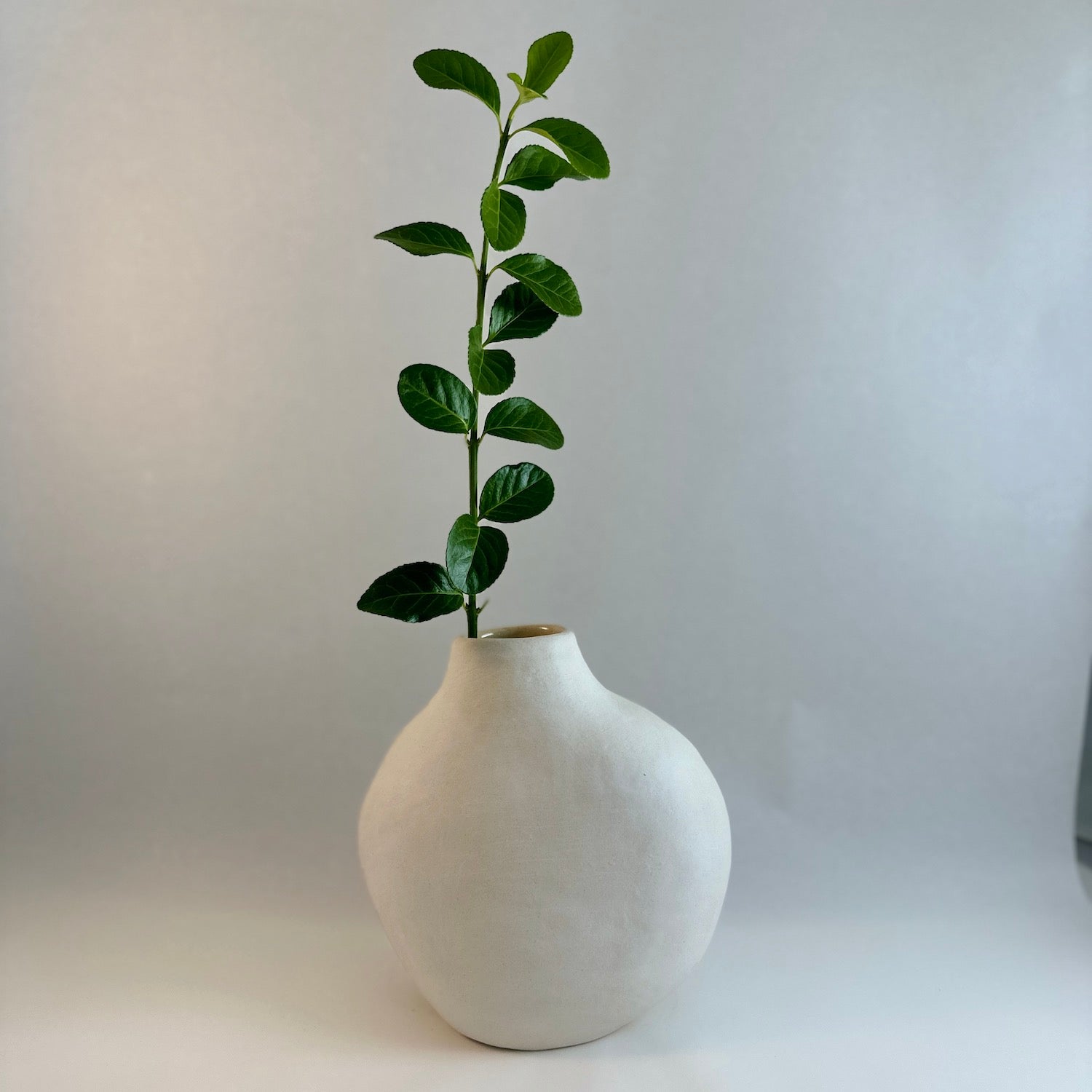 River rock ivory.jpg