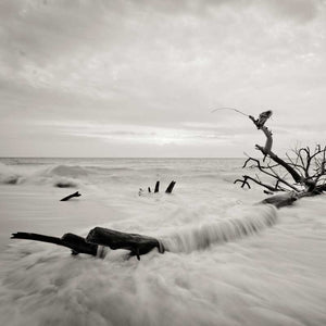 Sea Breeze