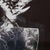 Shadow 040A1122 low res.jpg