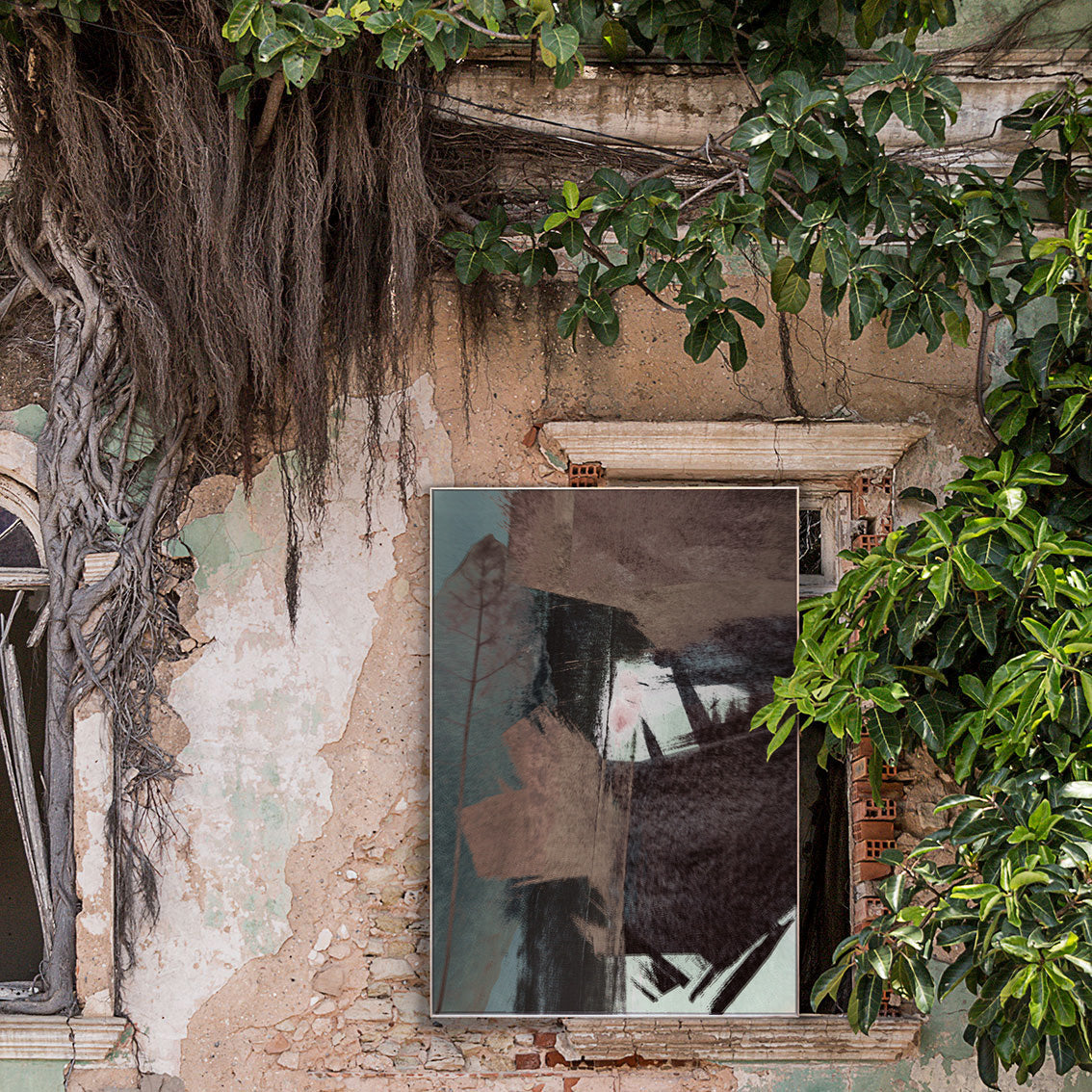 Shallows insitu.jpeg