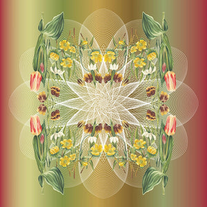 Spring-Floral-Spiral-Botanical-Mural-Autumn-by-Adrienne-Kerr-1.webp