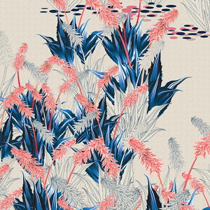 Succulent – Pink Wallpaper