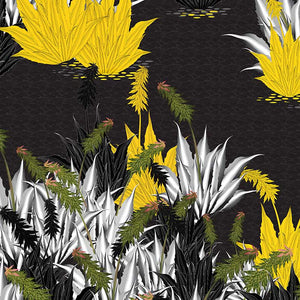 Succulent – Yellow wallpaper