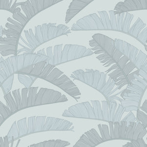 Summer Palm Ash wallpaper