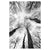 b1563a78ec59337587f6ab6397699afc%2FT22 Glade II.jpg