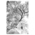 b1563a78ec59337587f6ab6397699afc%2FTS11 Fever II.jpg