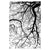 b1563a78ec59337587f6ab6397699afc%2FTS13 Umgeni .jpg