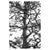 b1563a78ec59337587f6ab6397699afc%2FTS18 Thunbergii.jpg