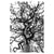 b1563a78ec59337587f6ab6397699afc%2FTS19 Thunbergii II.jpg