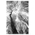 b1563a78ec59337587f6ab6397699afc%2FTS23 Glade III.jpg