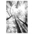 b1563a78ec59337587f6ab6397699afc%2FTS24 Glade IV .jpg