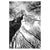 b1563a78ec59337587f6ab6397699afc%2FTS25 Glade V.jpg