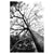 b1563a78ec59337587f6ab6397699afc%2FTS27 Brazilia .jpg