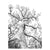 b1563a78ec59337587f6ab6397699afc%2FTS28 Kafra .jpg